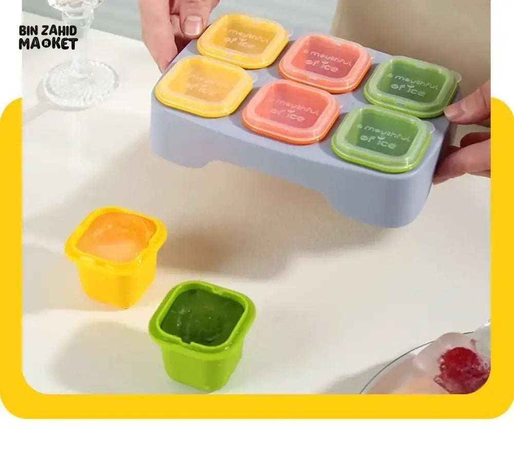 6 GRID COLORFUL BABY FOOD STORAGE CONTAINER WITH TRAY – LEAKPROOF & FREEZER SAFE