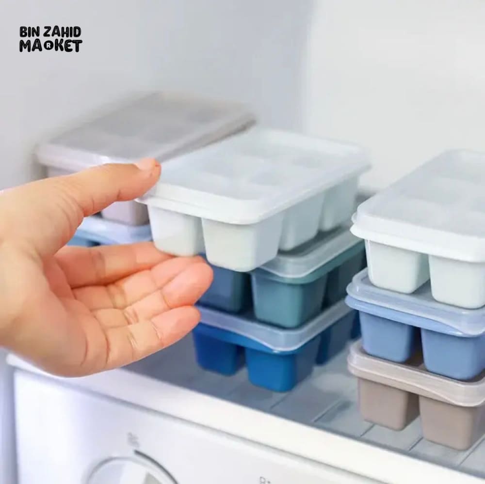 6X GRIDS ICE TRAY MOLD