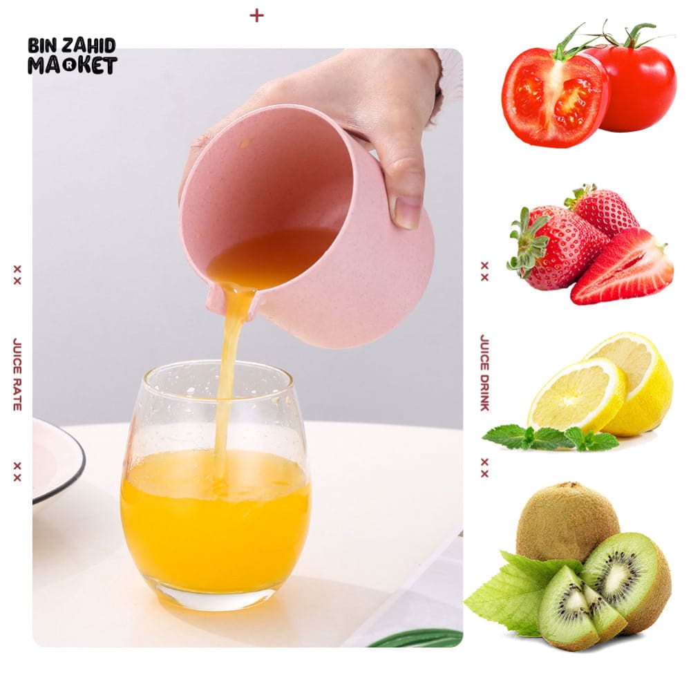 MANUAL PORTABLE CITRUS JUICER
