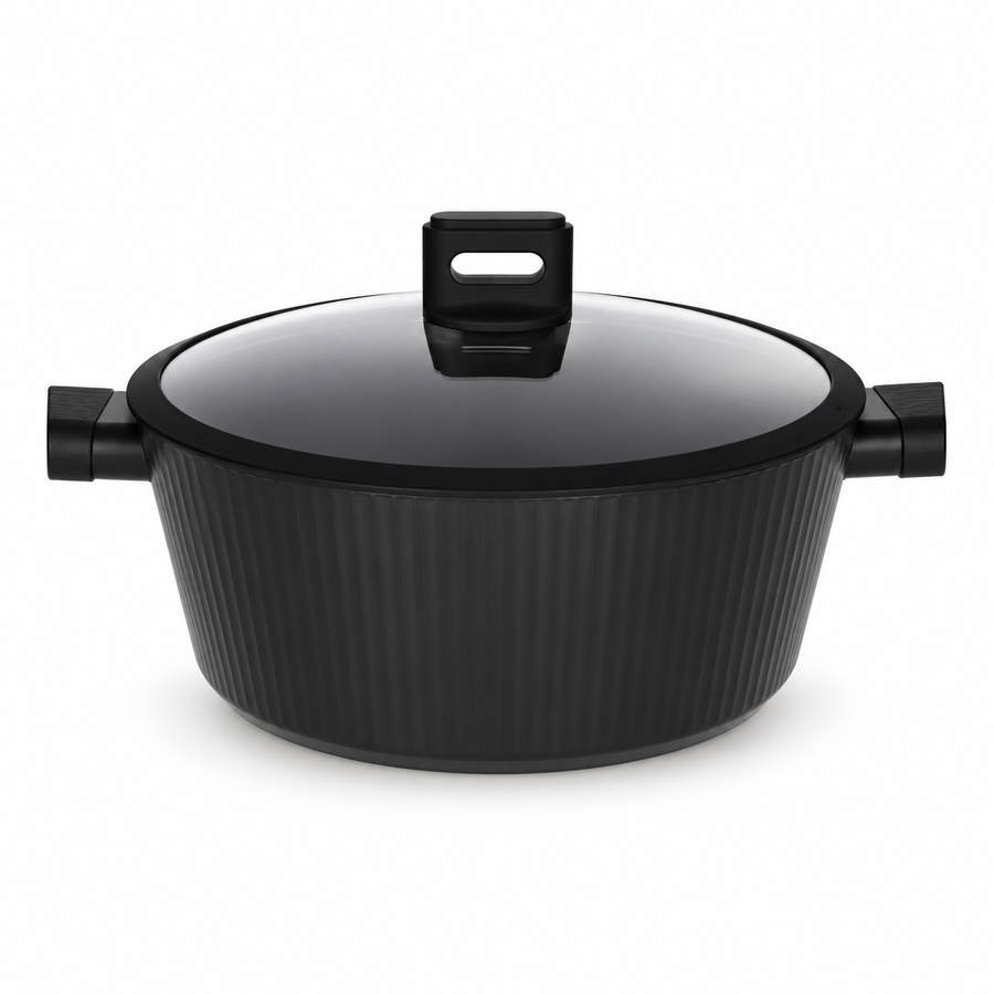 Danny Home Black Cooking Pot With Glass Lid