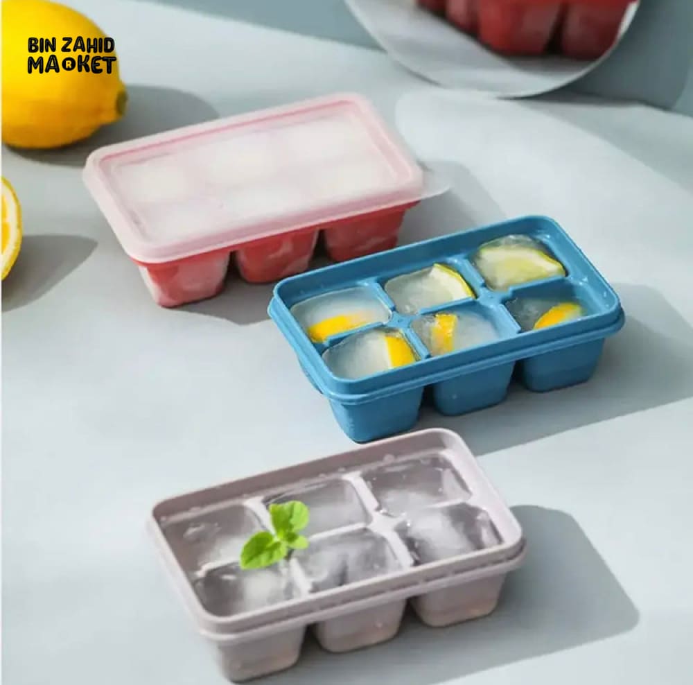 6X GRIDS ICE TRAY MOLD