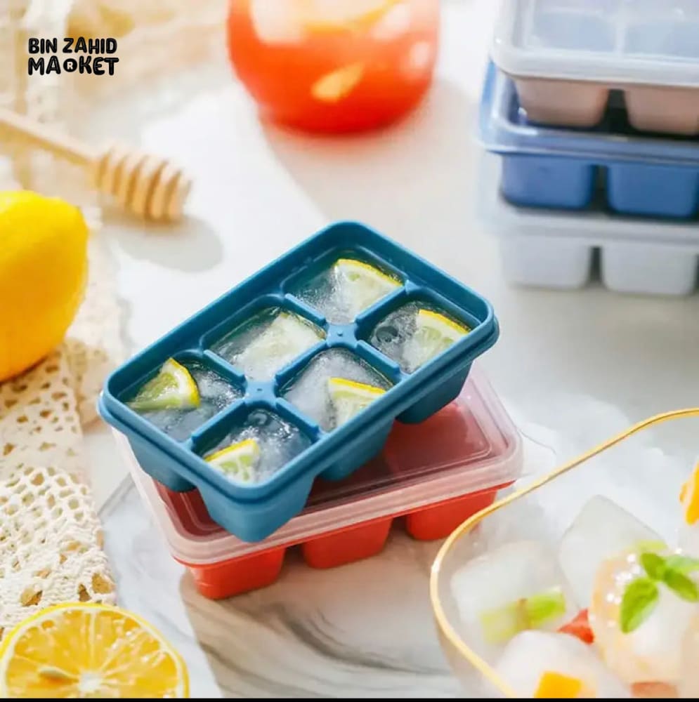 6X GRIDS ICE TRAY MOLD