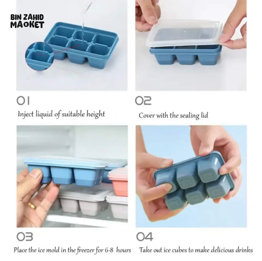 6X GRIDS ICE TRAY MOLD