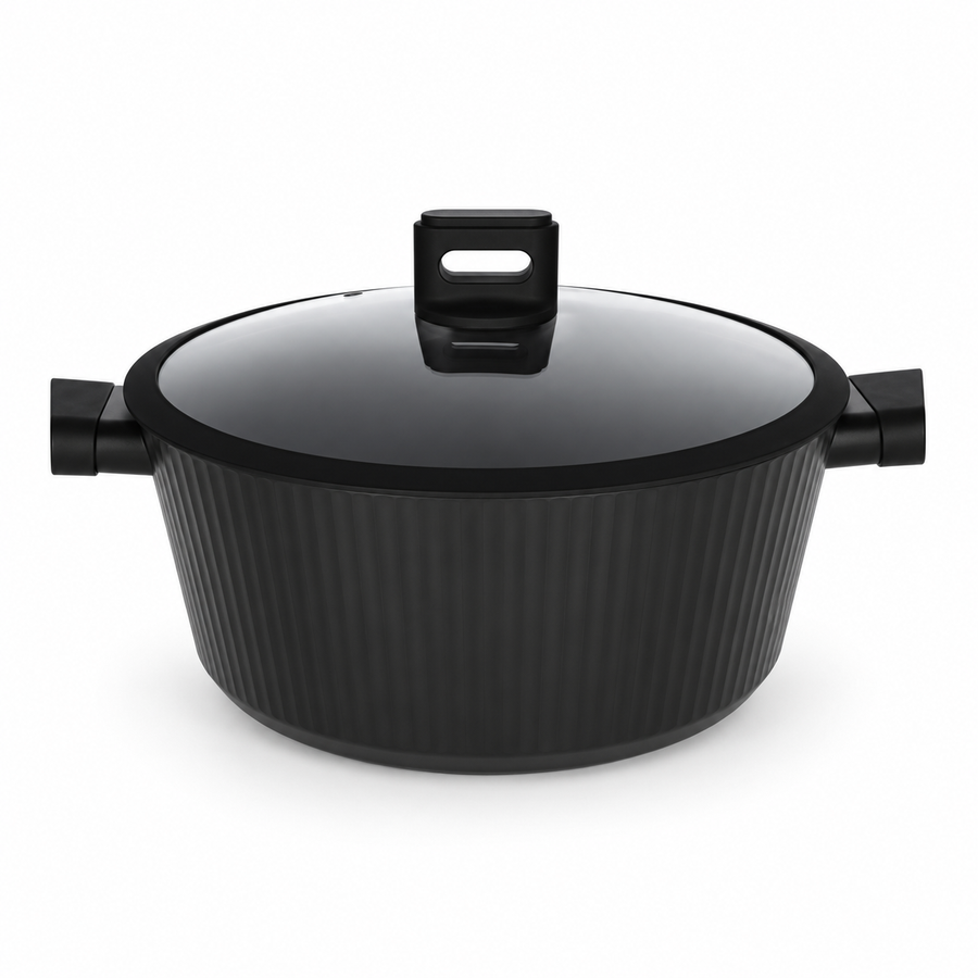 Danny Home Black Cooking Pot With Glass Lid
