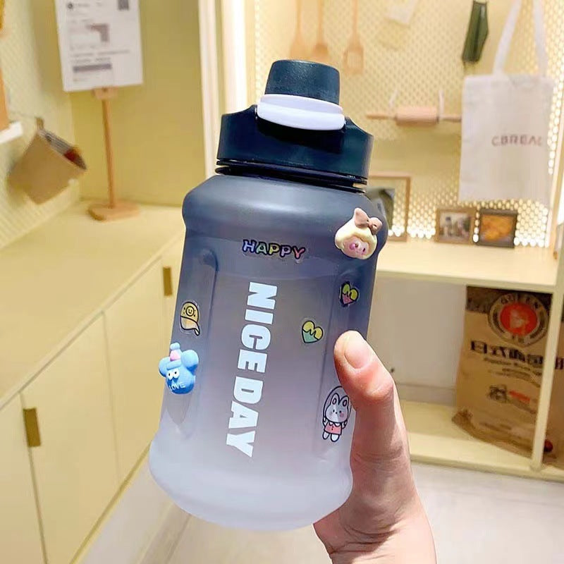 NICE DAY WATER BOTTLE 1000ML