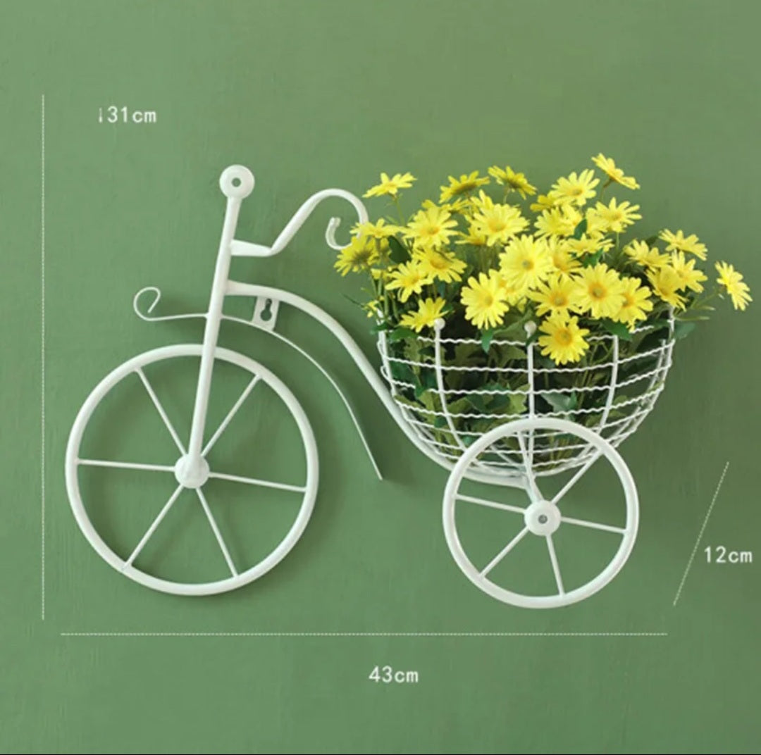 WALL DECOR CYCLE SHELF