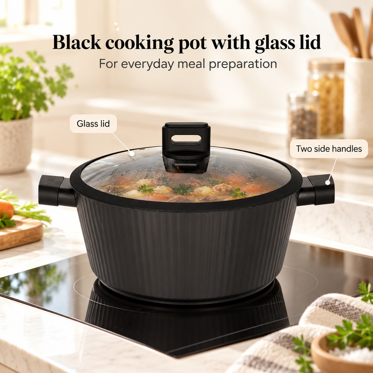 Danny Home Black Cooking Pot With Glass Lid