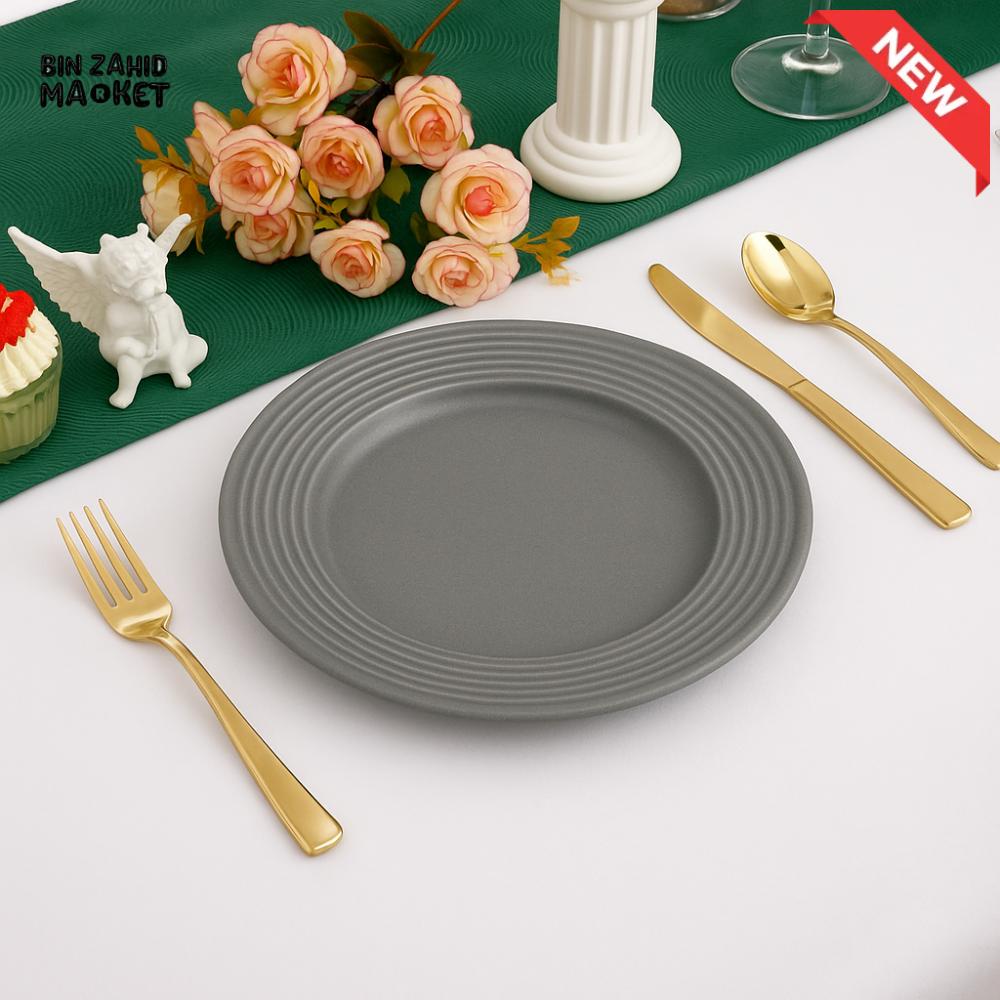DANNY HOME 10.5’’ GREY DINNER PLATE – MODERN RIMMED CERAMIC DISH FOR DINING & SERVING C40 1