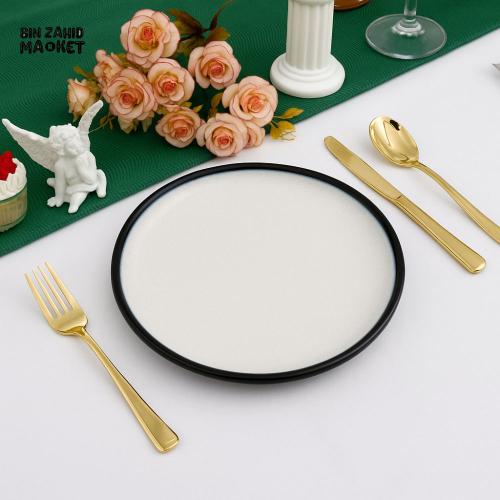 DANNY HOME 10.5’’ WHITE DINNER PLATE WITH BLACK RIM – MODERN ROUND CERAMIC DISH T26 01