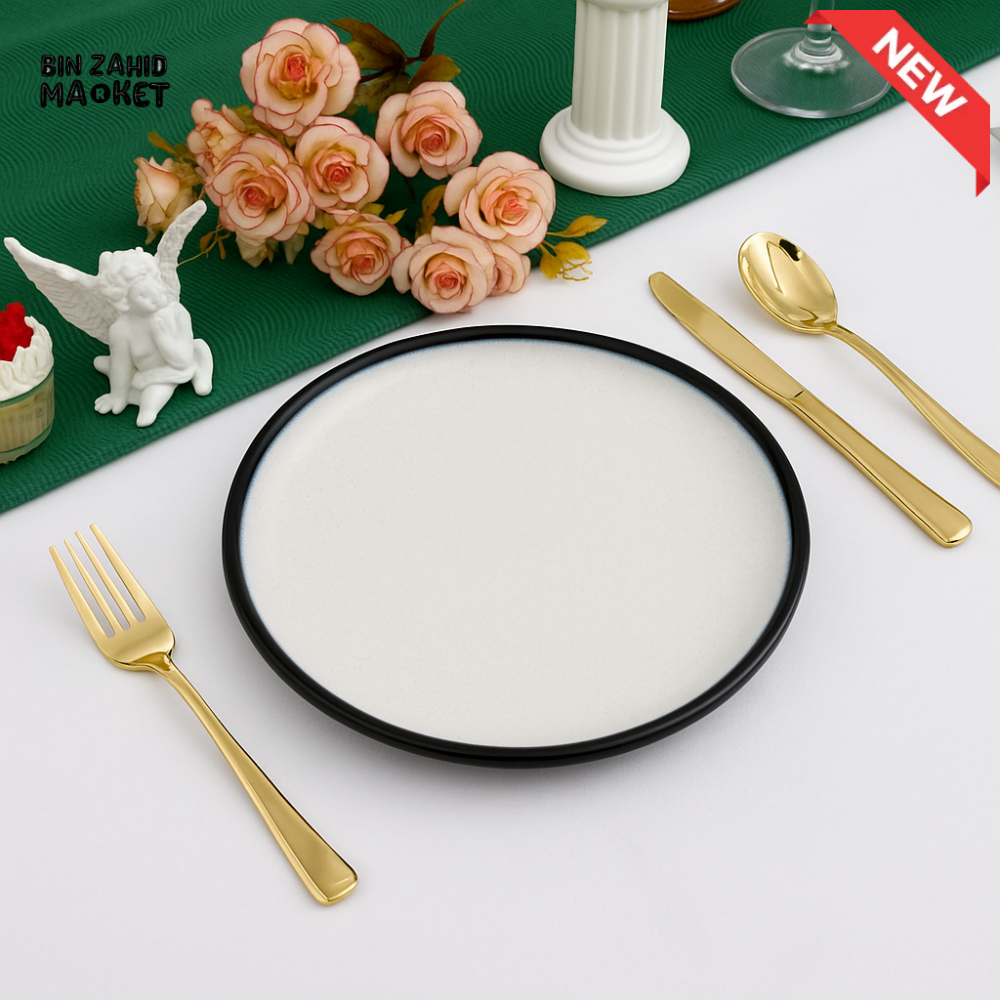 DANNY HOME 10.5’’ WHITE DINNER PLATE WITH BLACK RIM – MODERN ROUND CERAMIC DISH T26 01