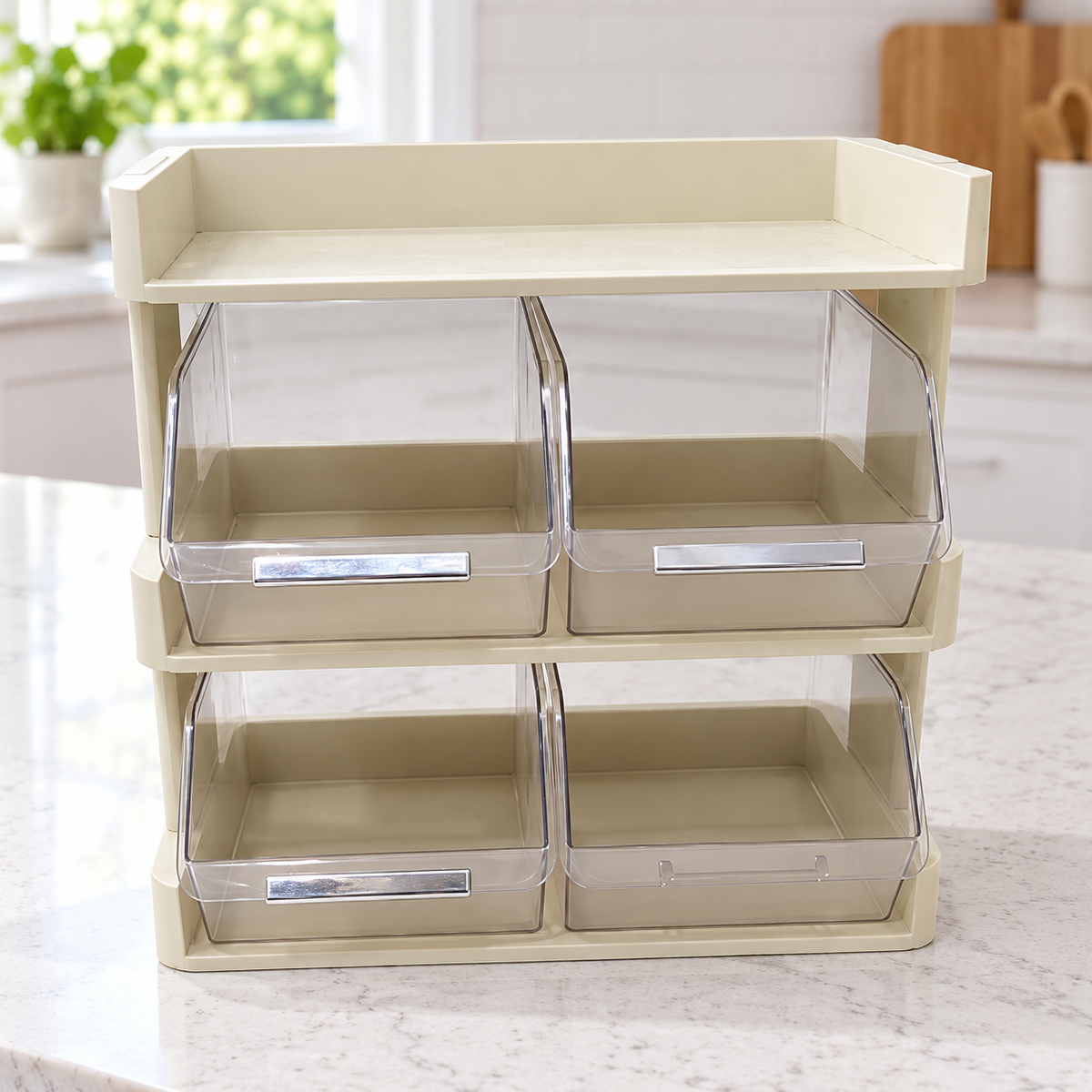 4-Bin Storage Organizer